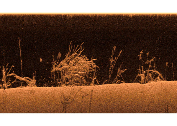 Garmin GCV20 Sonar Black Box c GT34UHD-TM 010-02055-00 от прозводителя Garmin