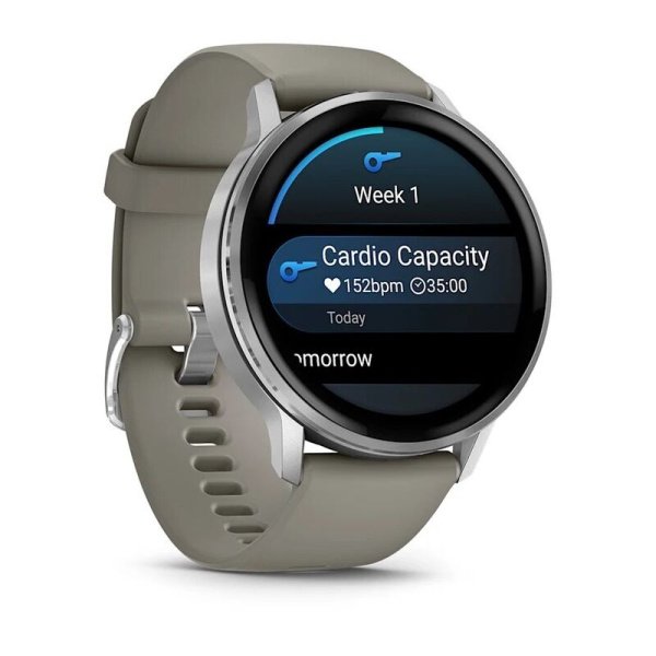 Garmin Venu 4 - 45 мм | Silver with Silver Grey Silicone Band