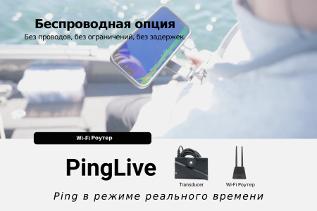 Accuphy PingLive Sonar APL от прозводителя ACCUPHY