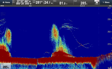 Raymarine CP570 E70258 от прозводителя Raymarine