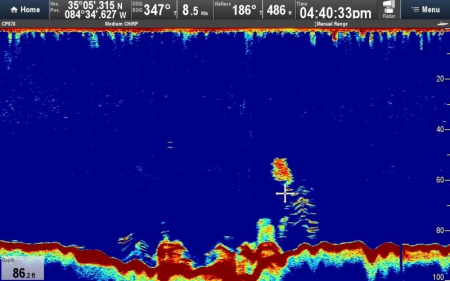 Raymarine CP570 E70258 от прозводителя Raymarine