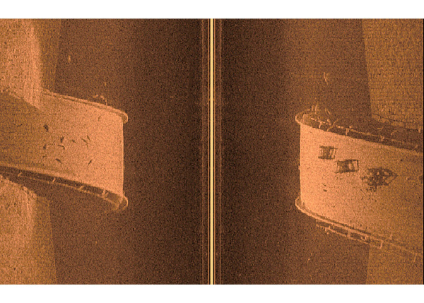 Garmin GCV20 Sonar Black Box c GT34UHD-TM 010-02055-00 от прозводителя Garmin