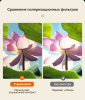Бинокль Eyeskey Vigil - 12x50 EyeS-B152 от прозводителя Eyeskey